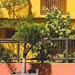 Apartment Ap. Reserva De 3